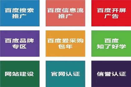 创新驱动：SEM竞价优化的多维度案例分析